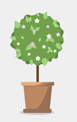 Beautiful green flowering tree in a ceramic pot. Vector illustration on a gray background. The tree is perfect for home decor and botanical themes. white flowers on a tree