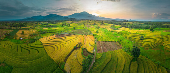 Aerial photo showing the contrast between natural green forest and agricultural land damaged by...