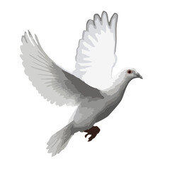 a bird that looks like the real thing
