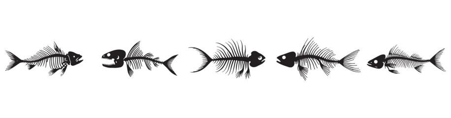 
set of  fish skeleton vector, Fish isolated vector. silhouette illustration fish symbol, isolated background. illustration EPS 10.