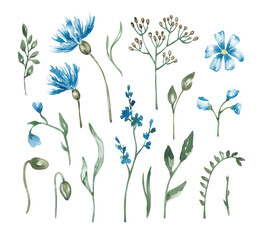 Wild flowers collection. Summer meadow set hand drawn with watercolor. Colorful summer design elements for card, banner, invitation