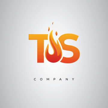 TS Creative Fire Letter Logo Design