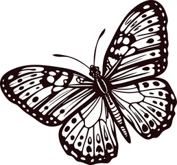 Detailed monochrome butterfly with intricate patterns and open wings