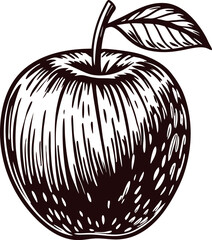 Detailed black and white of a textured apple with stem and leaf