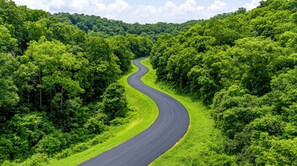 Asphalt Road Winding Through Lush Green Forest Under Partly Cloudy