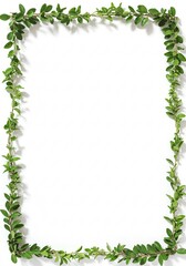 Naklejka premium Verdant Border of Twining Boxwood Sprigs