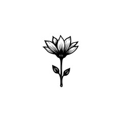 Simple botanical illustration showcasing flower with delicate petals and leaves