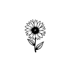 Elegant Sunflower Botanical Sketch: A Timeless Floral Illustration