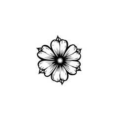 Elegant floral illustration in black and white, showcasing delicate petal detailing