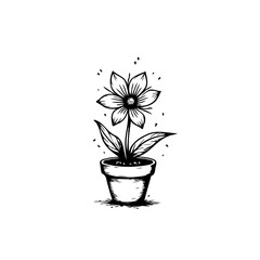 Minimalist floral drawing displaying botanical elegance in monochromatic outline