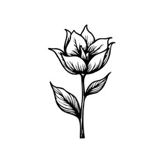 Elegant floral bloom illustration in grayscale evokes delicate botanical artistry
