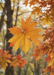 Close-up of maple leaves with blurred fall background, scenic, orange maple leaf, nature
