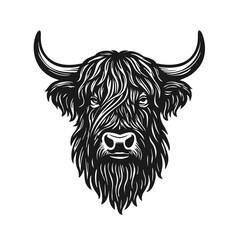highland cattle head illustration