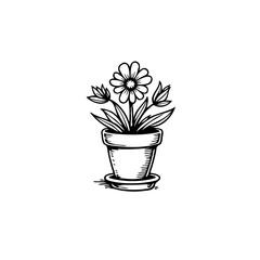 Elegant monochromatic floral illustration with potted daisy in a subtle sketch style