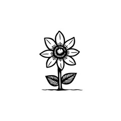 Obraz premium Elegant monochrome flower illustration with delicate petals and detailed core