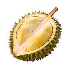 Obraz premium Durian. PNG.