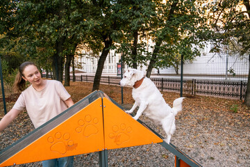 Woman smiling as she assists her dog climbing an agility ramp in a dog park. The action conveys...