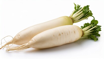 daikon radishes isolated on white background