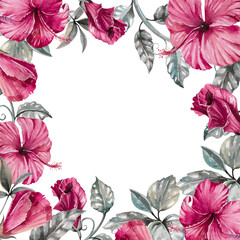 Hibiscus dark pink flowers, gray silver leaves and branches and liana hand drawn watercolor illustration isolated on white. Bright square frame template for exotic, gloomy designs, cards, invitations