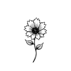 Elegant single flower illustration presenting a refined botanical graphic art piece