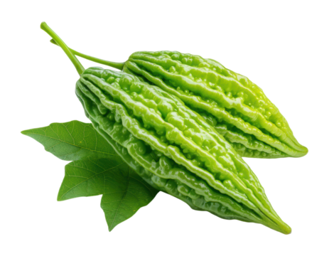 Fresh green bitter melons with leaves, vibrant and healthy, isolated on transparent and white background