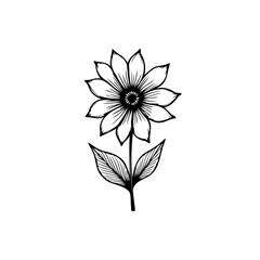 Elegant single sunflower botanical illustration with detailed line work art
