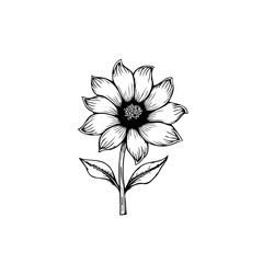 Elegant monochrome floral illustration exhibiting delicate petal and leaf details