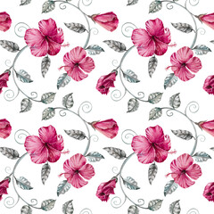 Hibiscus dark pink flowers, silver leaves, branches and liana hand drawn watercolor illustration isolated on white. Bright seamless pattern for designs, print, fabric, textile, wallpaper, scrapbook