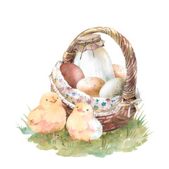 Yellow chickens, Wicker basket with fresh eggs and bottle of milk on green lawn hand drawn watercolor illustration isolated on white background. Rustic element for farm design, easter greeting cards