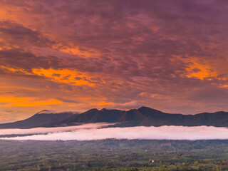 beautiful morning view panorama of indonesia agriculture industry rice fields with beautiful sky colors natural light