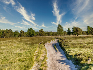 Wandern in der Heide