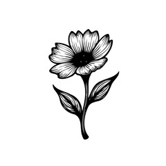 Elegant floral illustration of a blooming flower with stylized petals design