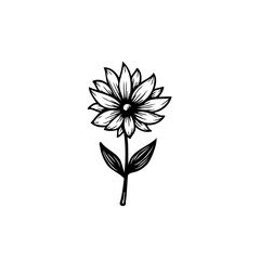 Delicate monochrome floral illustration featuring detailed petal formations and slender leaves