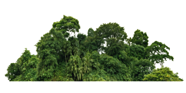 	Isolated cluster of lush green tropical trees and palms forming a small forest island against transparent background, creating a self-contained miniature ecosystem display