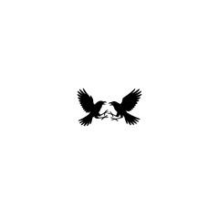 duel bird