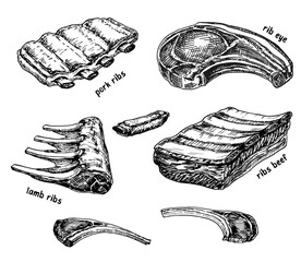 Meat ribs sketch. Different kinds of meat. Fresh pork ribs, beef ribs, lamb ribs. Meat vector set collection. Butchers shop raw food products. Meat illustration bundle. Hand-drawn barbecue elements.
