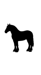 Obraz premium Equine Silhouette: Midnight Majesty