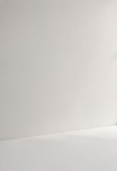 Fototapeta premium Soft white canvas, faint shadow play, pristine smoothness, minimalist design, delicate, tranquil, quiet
