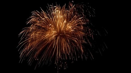 Radiant golden fireworks display illuminating a dark night sky, with light trails and bursts creating abstract starburst patterns. - Powered by Adobe