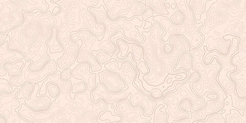 Abstract Geometric Topographic Map Background, Grey Topographic Lines and Contours in Motion with Dynamic Line Patterns.