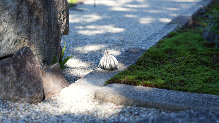 Garden Stones and Moss with Natural Texture