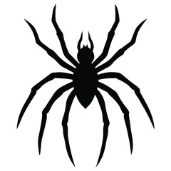 Obraz premium long thin spider legs with a spooky aura around them