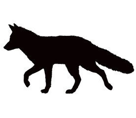 Fox silhouette on a white background. Wild animal logo. Forest animal. Nature symbol. flat animal silhouette