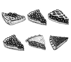 Homemade pie set. Hand drawn sketch dessert. Food elements. Menu, sign board template. Sketch slice of fruit tart. Pies with meat, berries, fruits.