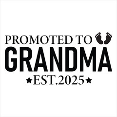 Promoted To Grandma Est.2025  Promoted 2025 T-shirt Design