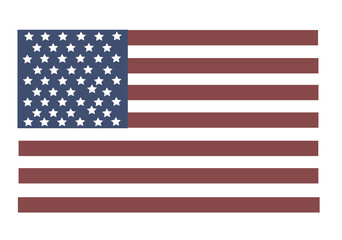 USA flag in style vector