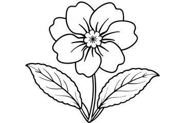 primrose flower silhouette line art vector illustration with a white background
