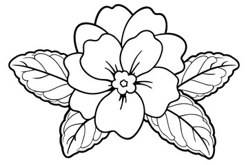 primrose flower silhouette line art vector illustration with a white background