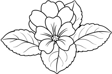 primrose flower silhouette line art vector illustration with a white background