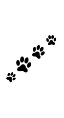 Pawsitive Progression